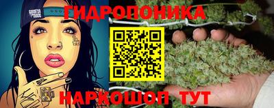 скорость Тверь