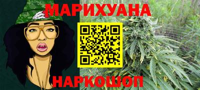 гашик Тара