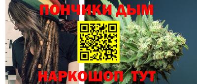 гашик Тара