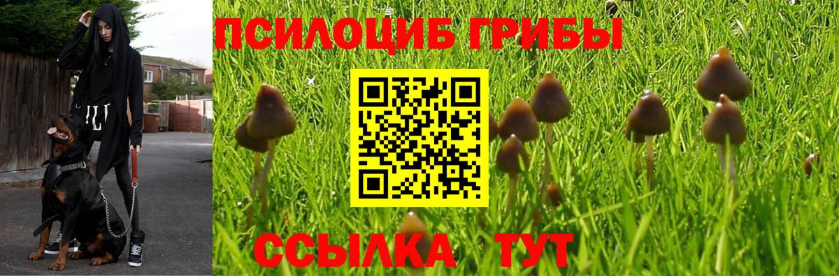 Галлюциногенные грибы Psilocybe  Вход с VPN  Псилоцибиновые грибы ЛСД  Орехово-Зуево 